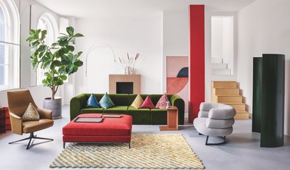 tall ficus plant in the corner of a living room